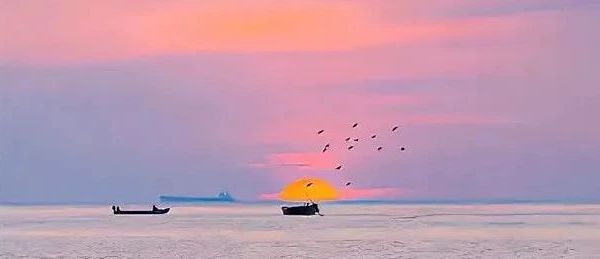 【8.10-点菜】T恤、家居服、内衣、棉柔巾、补水喷雾、洗发水、洗手液、湿厕纸、抚触油、雪糕、桃酥......