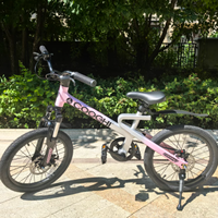 🚴‍♂️酷骑迅猛龙 F1 儿童自行车，孩子的骑行神器！