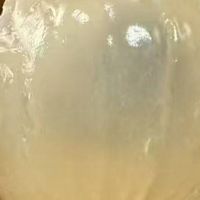 为什么龙眼一定要吃石岐龙眼？