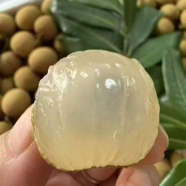 为什么龙眼一定要吃石岐龙眼？