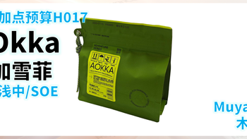 外行加点预算H017：Aokka 耶加雪菲 水洗 浅中 SOE(＞100元/斤)