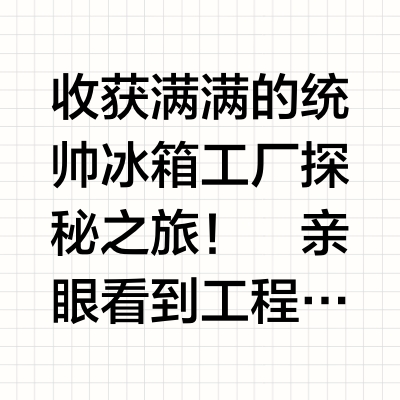 🔎探厂日记｜在统帅车间找到‘悦己密码’