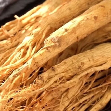 长白山人参：电养青年的花式养生秘籍
