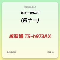 每天一款NAS 威联通 TS-h973AX