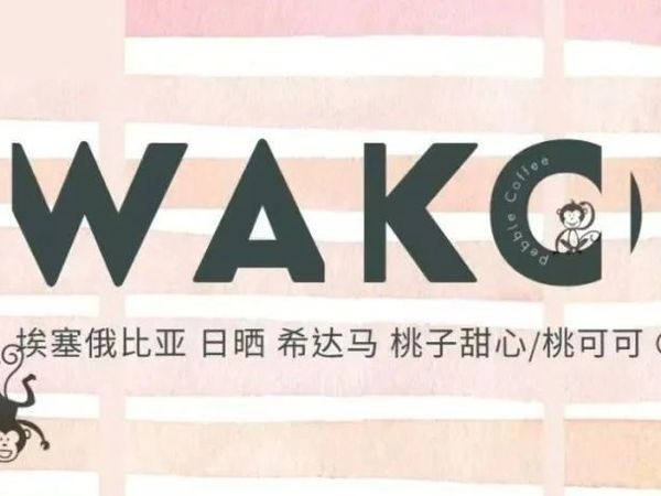 BOP=京东入局，一场中国人的狂欢~上新4只~