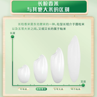 🍚东北大米 YYDS！十月稻田长粒香炒饭香到邻居来敲门～