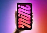 曝苹果新一代iPad mini或搭载A19 Pro芯片：性能看齐iPhone 17 Pro