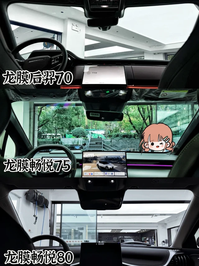 龙膜隔热膜怎么选？新能源车主必看