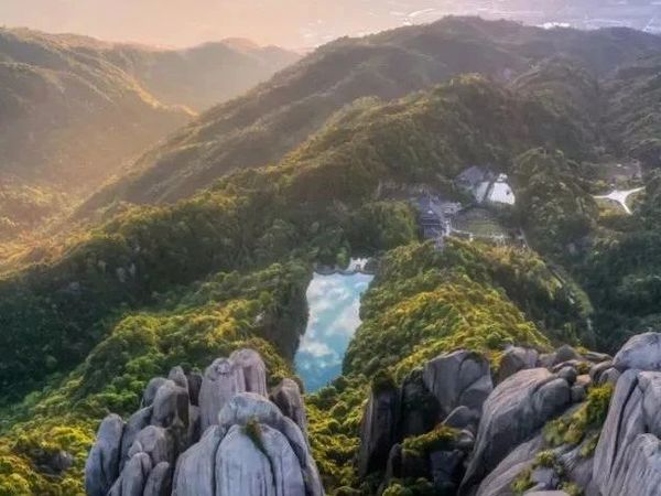 中茶北京微茶会（第461期）太姥银针五年陈