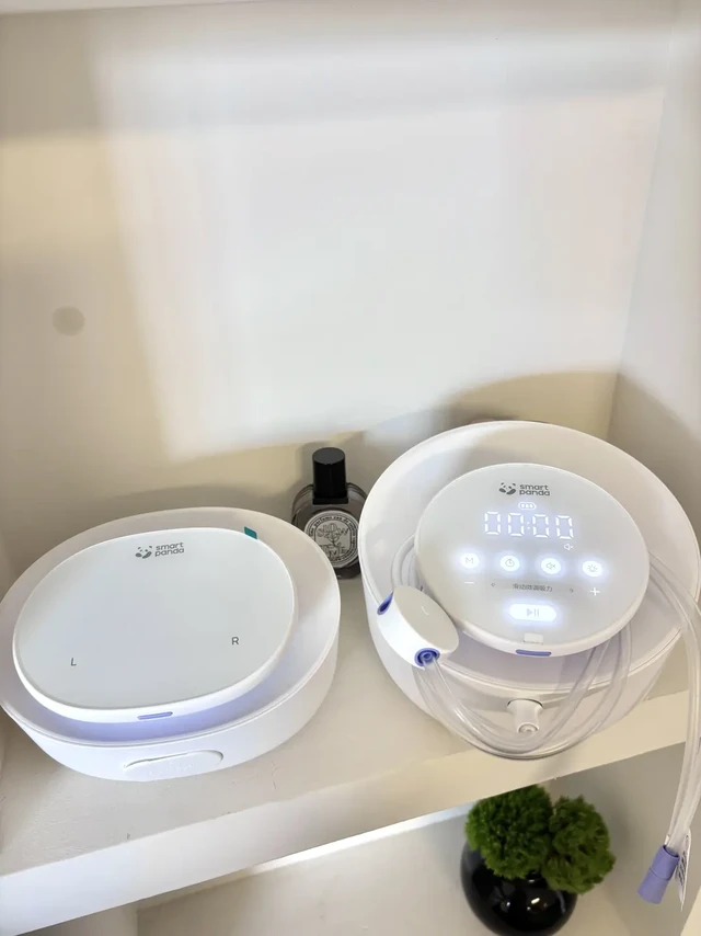 熊猫布布pro❌plus 到底怎么选