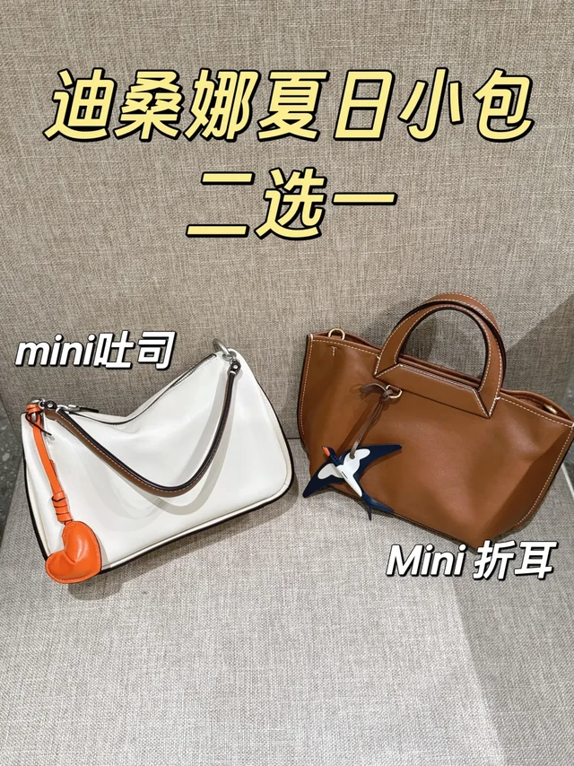 好纠结呀‼️迪桑娜两只小包包怎么选？