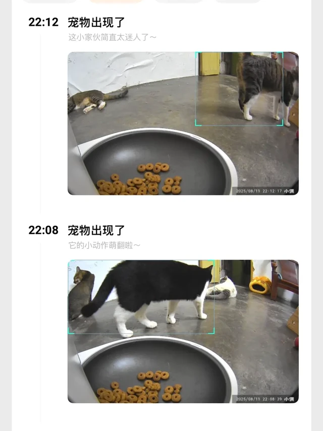 也没人说是这样的阿