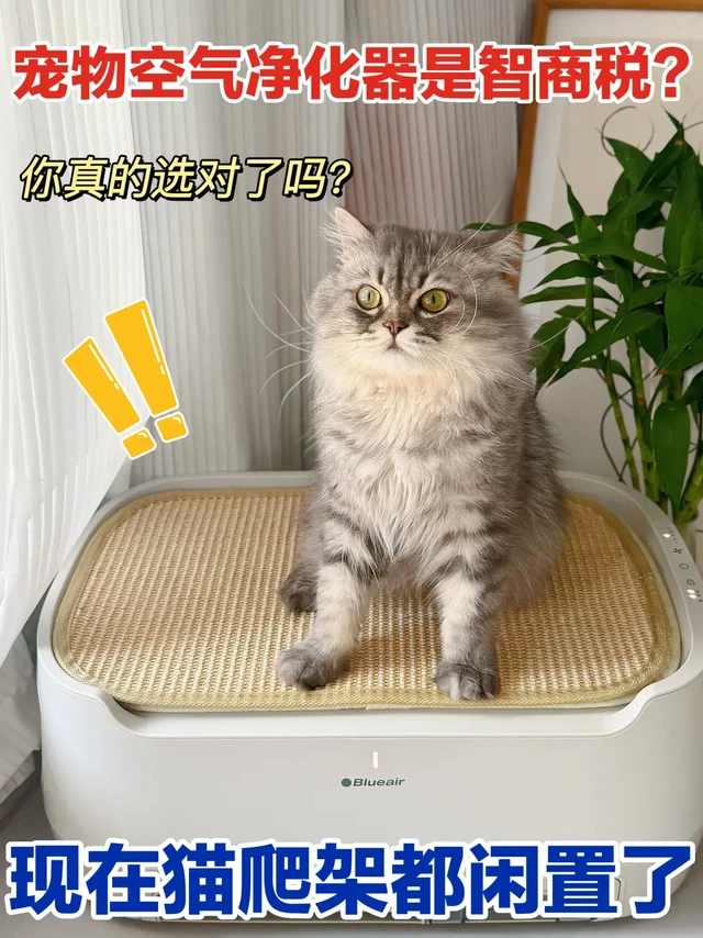 用过它，你就不会说宠物空气净化器是智商税