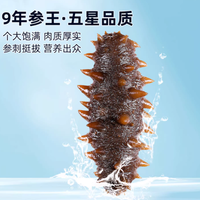 99 福参旗舰店大连即食海参礼盒：珍稀参王，品质之选