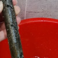 热水器24小时不断电？要听劝：这3类赶紧拔插头！再省也别拿命赌