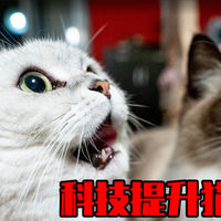 科技真能提升猫奴地位？三件养猫利器长期体验分享