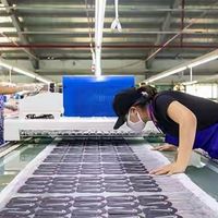 全球第一大鞋厂：给耐克、阿迪达斯代工，鞋履出货量达2.55亿双