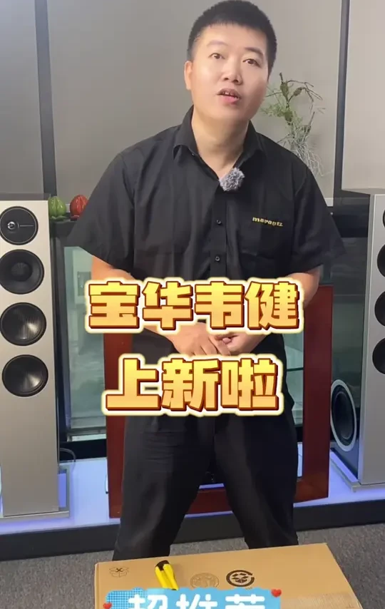 听说你在找一款高性价比音箱#宝华韦健 #音箱 #hifi #欢迎新老客户的光临 #斯超威