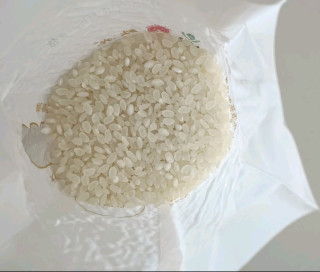 一口尝鲜，解锁东北盘锦大米的鲜与香