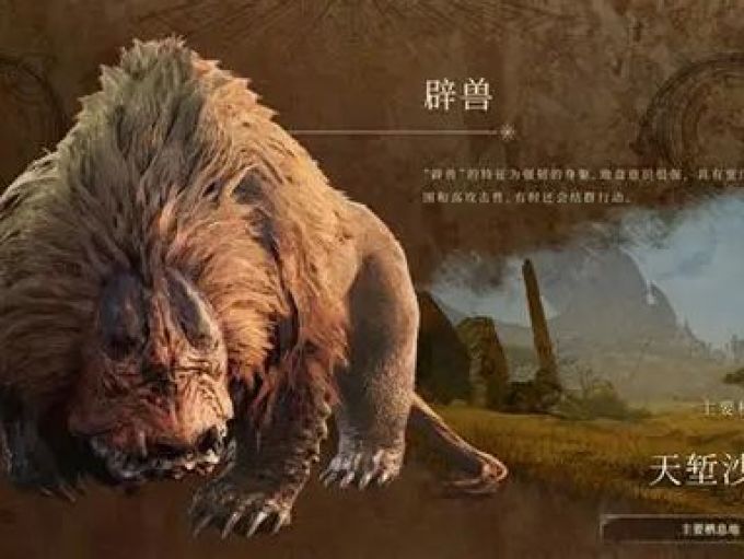 动物模型