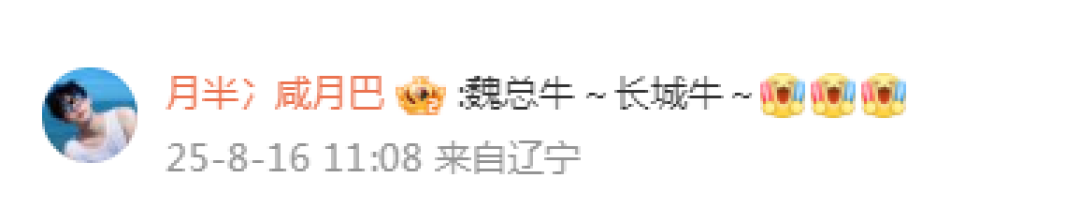 长城汽车巴西工厂正式运营,Hi4技术落地拉美市场