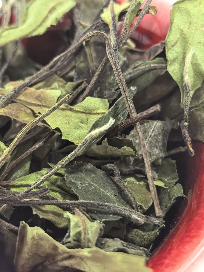茶类