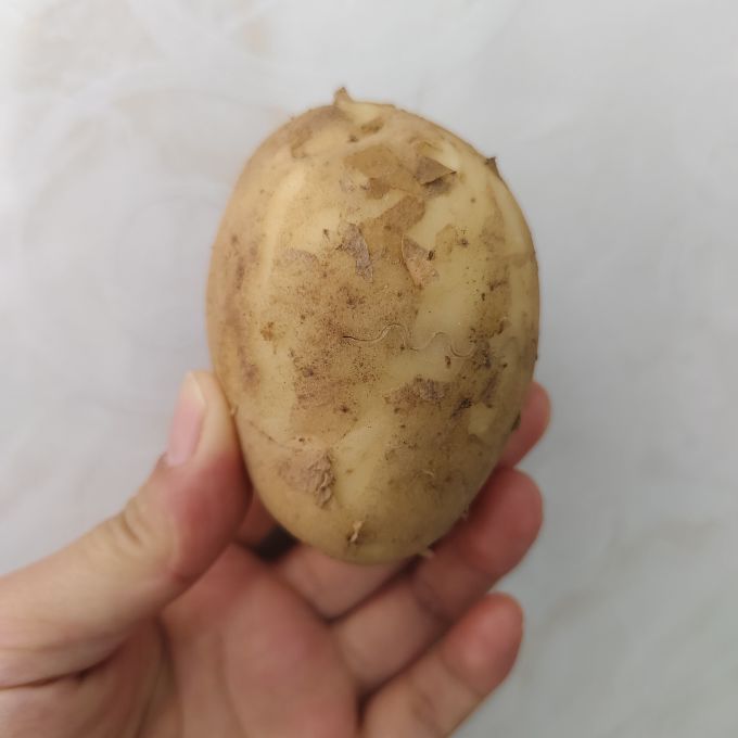 京喜加蔬菜