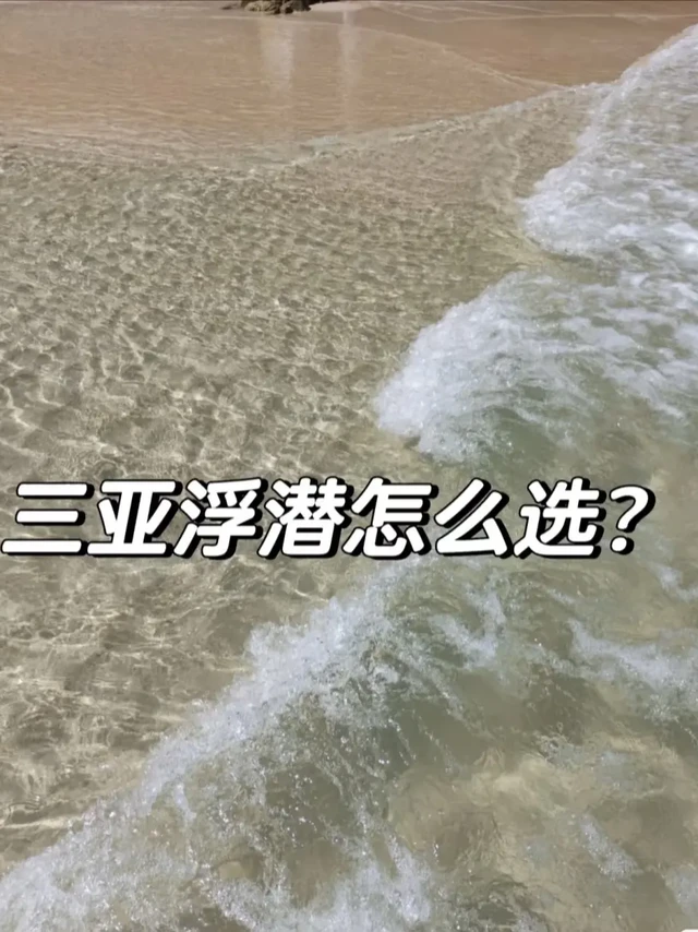 我对比了十多家，结果如下