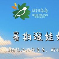沈阳鸟岛遛娃记：与羽毛精灵共舞的自然课堂  