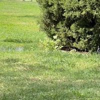 户外帐篷济州岛游记