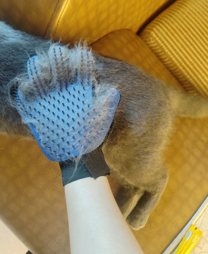 瓜洲牧宠物美容工具