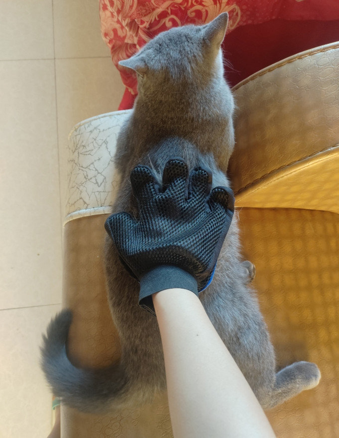 瓜洲牧宠物美容工具