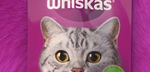 案例分享 / 伟嘉(Whiskas)品牌包装焕新：为宠物食品注入全新“喵”态度