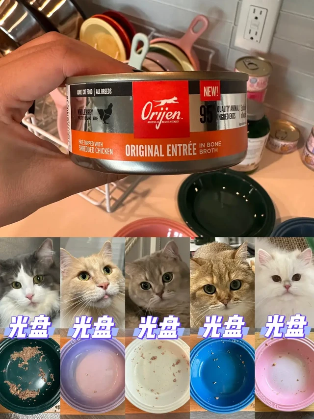 五猫家庭 | Orijen渴望原味鸡【✅5/5】