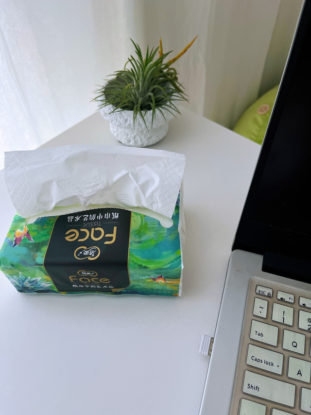 纸中精品，家居艺术！艺术感满满的家，有油画般的纸巾在添砖加瓦