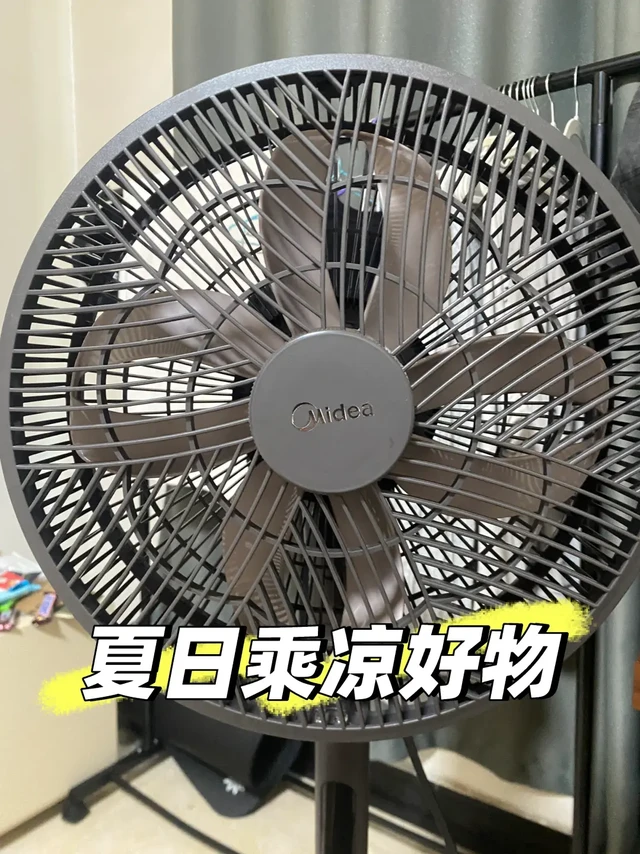 夏日乘凉好物