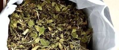 白茶“走红”简史：从边缘茶类到市场爆款的20多年