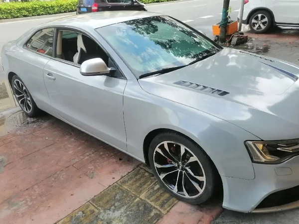 汽车电瓶没电打不着火？瓦尔塔帮奥迪A5回春