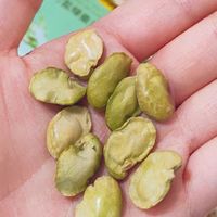 挖到宝了！甘源竹盐绿心蚕豆，谁吃谁爱