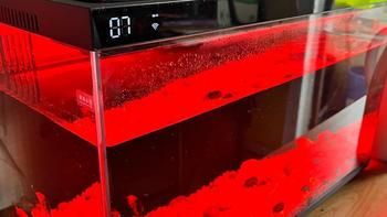 当贝智能生态鱼缸 1Ultra：让生活慢下来的懒人养鱼神器