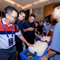 全球首款多模态梦境脑机接口发布：枕头形态 可缓解焦虑、改善睡眠