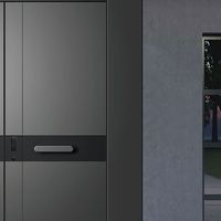 2025 年入户门十大品牌实力剖析，打造家居安全屏障