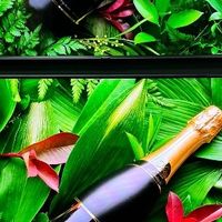 LED vs MiniLED怎么选？创维G7D vs G7F Pro，一眼看懂差距！