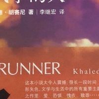 《追风筝的人》阅读体验：心灵救赎与人性光辉的交织之旅

