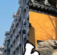 樱花要开了南京两天一夜这么玩