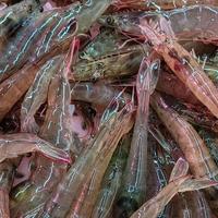 老渔民：大虾上市，这3种尽量不要买？8月吃虾，所有人一定要注意