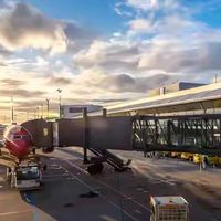 “国家队”下场,航空公司“反了”!航旅纵横,要干掉携程们?