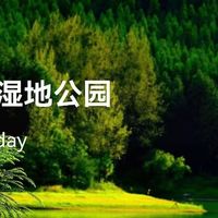 明湖湿地亲子自然课