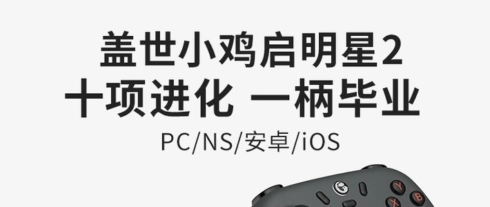 单身老汉送自己的游戏手柄