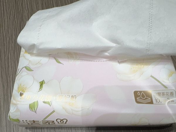 洁柔抽纸：山茶花香的品质之选